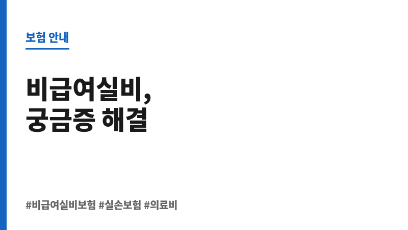 비급여실비보험 보조 이미지
