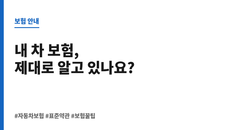 자동차보험표준약관 보조 이미지