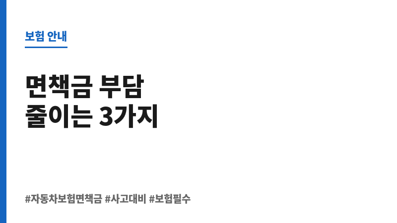 자동차보험면책금 보조 이미지 자동차보험면책금 보조 이미지