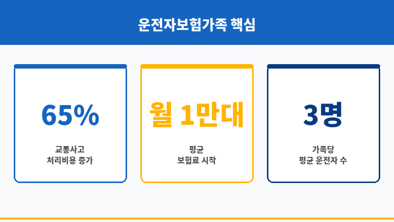 운전자보험가족 보조 이미지