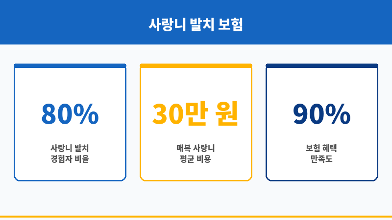 사랑니발치치아보험 보조 이미지 사랑니발치치아보험 보조 이미지