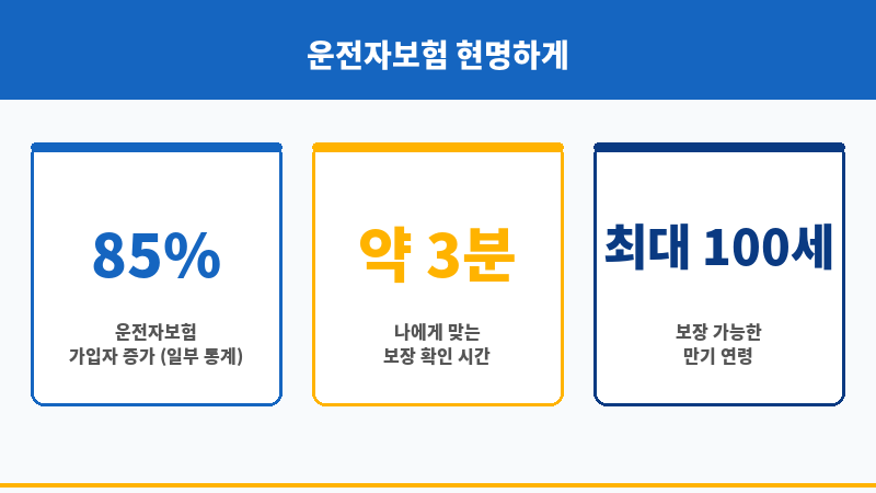 운전자보험종류 보조 이미지