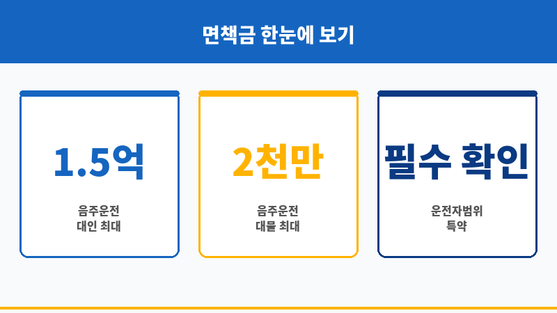 자동차보험면책금 보조 이미지 자동차보험면책금 보조 이미지