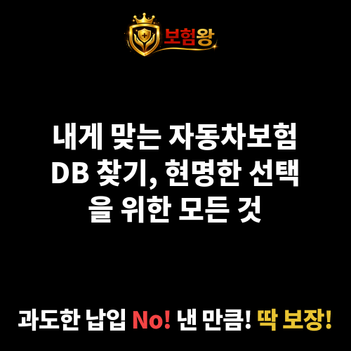 자동차보험DB
