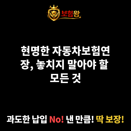 자동차보험연장