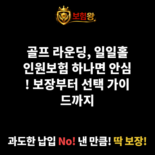 일일홀인원보험