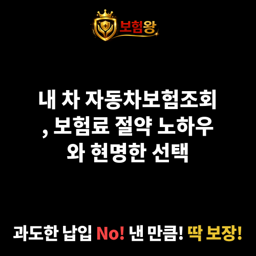 자동차보험조회