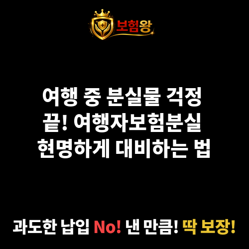 여행자보험분실