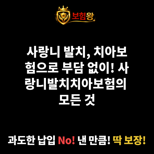 사랑니발치치아보험