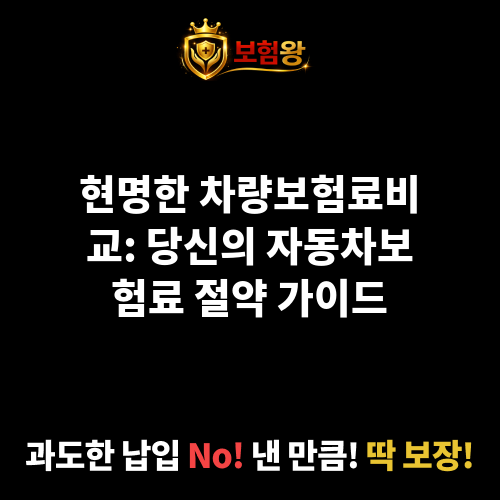 차량보험료비교