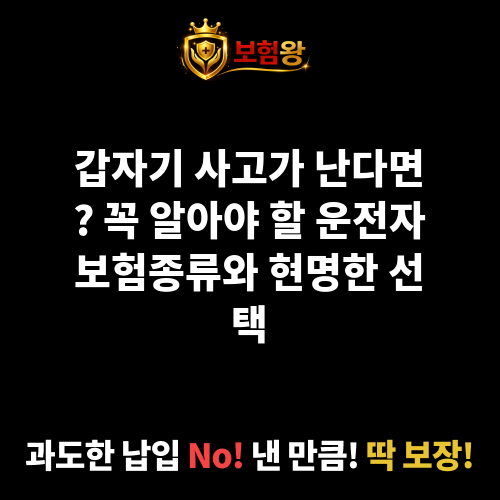 운전자보험종류