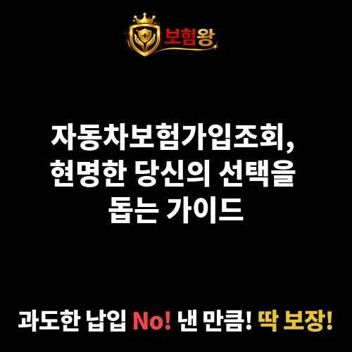 자동차보험가입조회