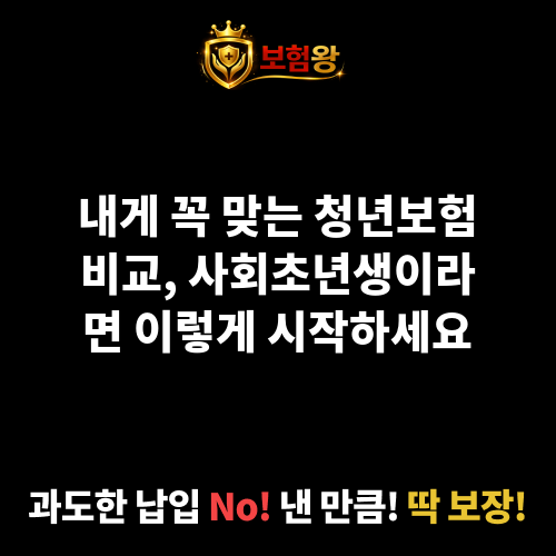 청년보험비교