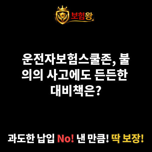 운전자보험스쿨존