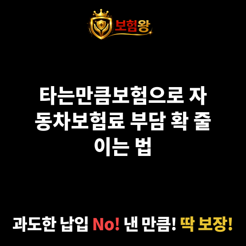 타는만큼보험