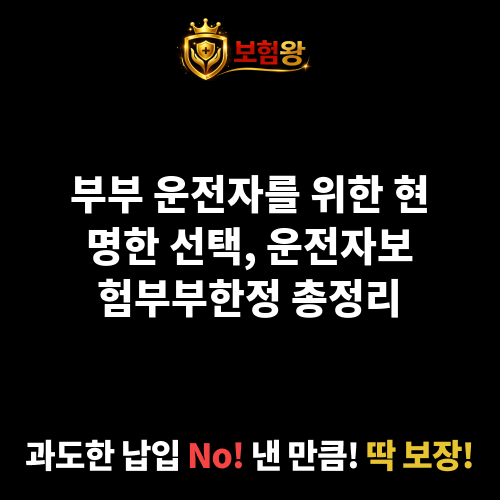 운전자보험부부한정