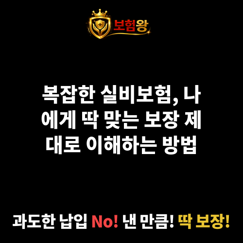 실비