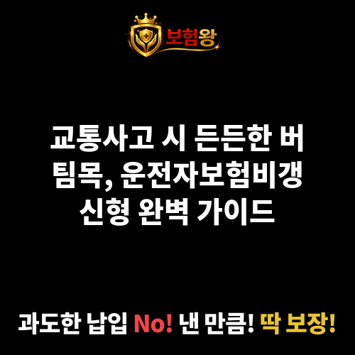 운전자보험비갱신형