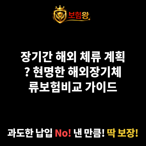 해외장기체류보험비교