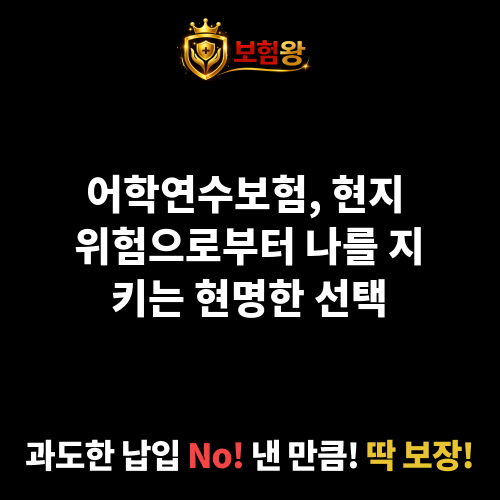 어학연수보험