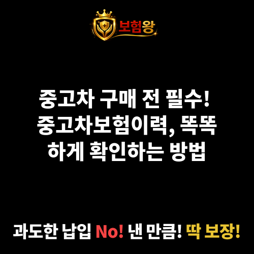 중고차보험이력
