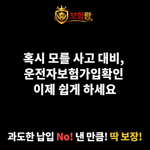 운전자보험가입확인