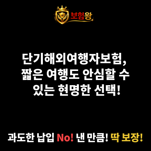 단기해외여행자보험