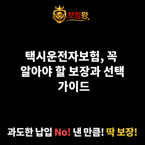 택시운전자보험
