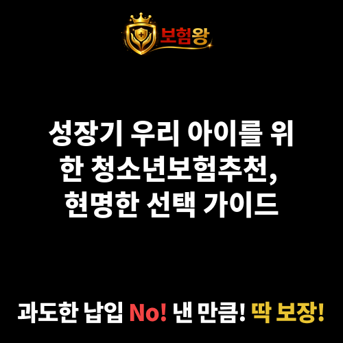 청소년보험추천