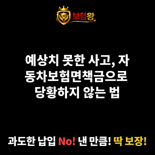 자동차보험면책금