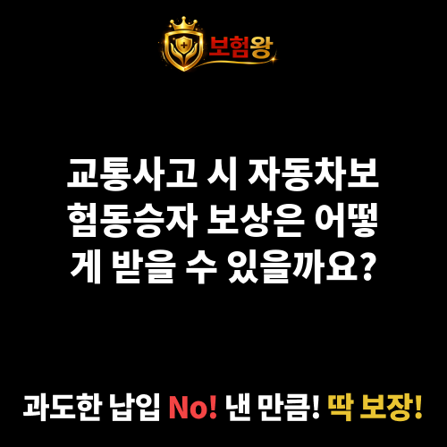 자동차보험동승자
