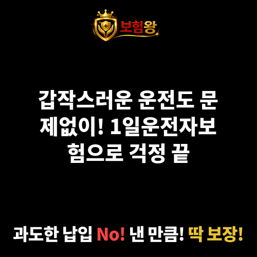 1일운전자보험