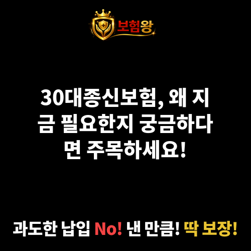 30대종신보험