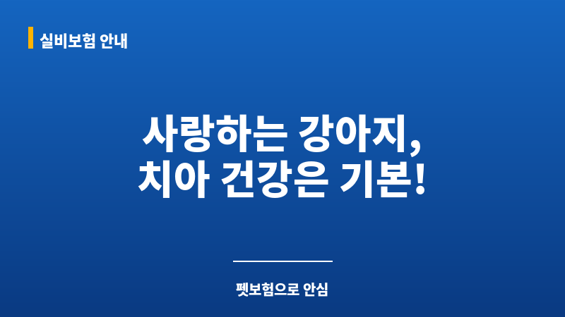 강아지스케일링비용 보조 이미지