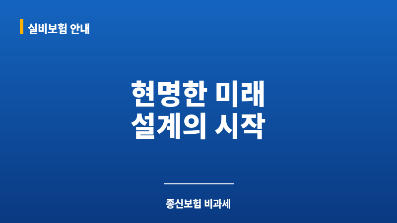 종신보험비과세 보조 이미지