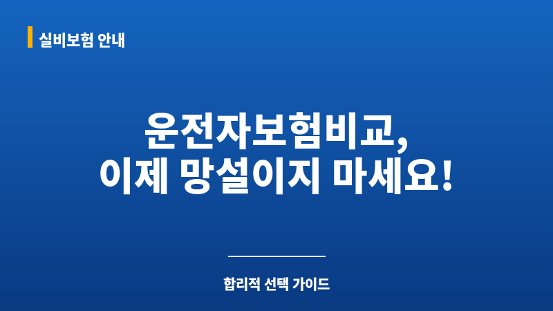 운전자보험비교 보조 이미지 운전자보험비교 보조 이미지