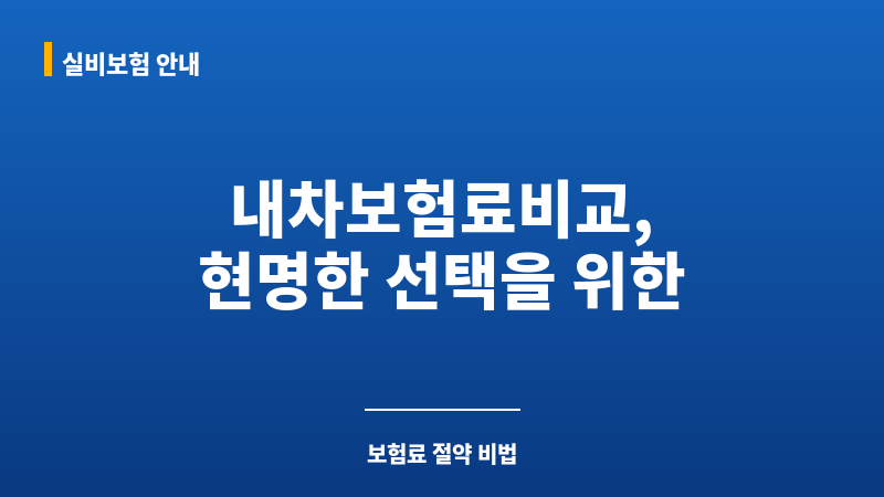 내차보험료비교 보조 이미지 내차보험료비교 보조 이미지