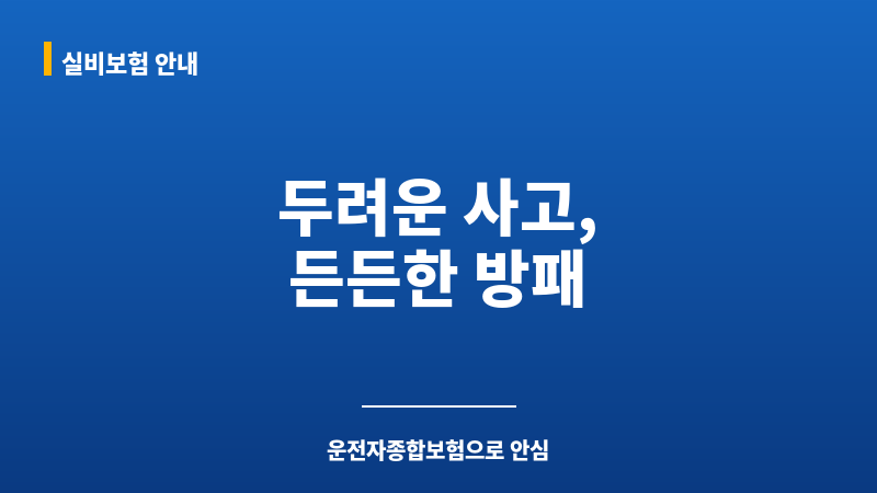 운전자종합보험 보조 이미지