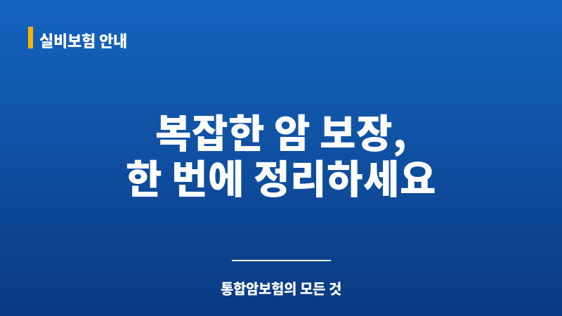 통합암보험 보조 이미지