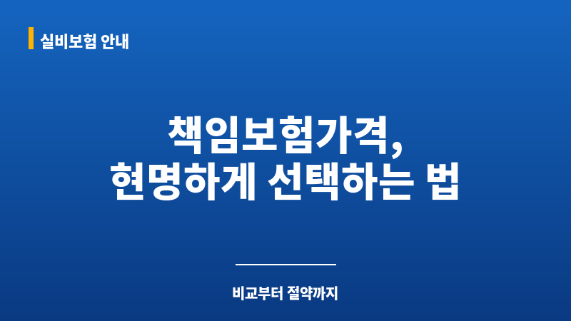 책임보험가격 보조 이미지