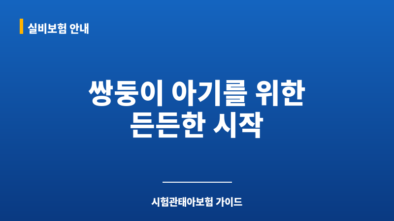 시험관쌍둥이태아보험 보조 이미지