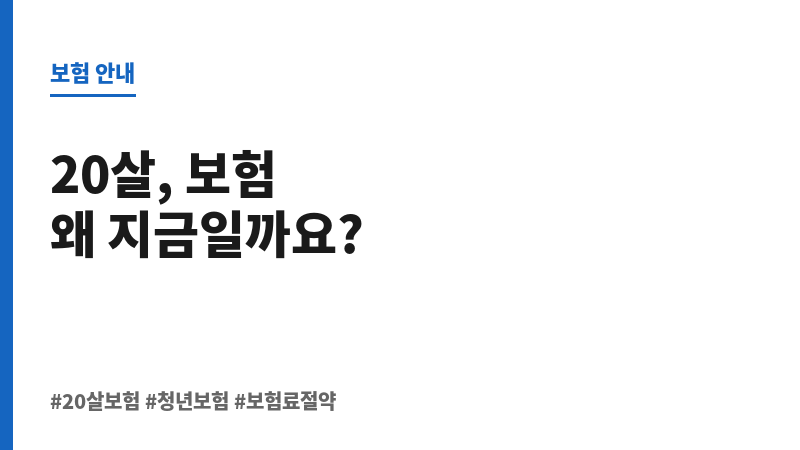 20살보험 보조 이미지