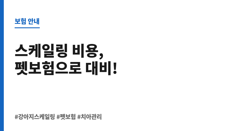 강아지스케일링비용 보조 이미지