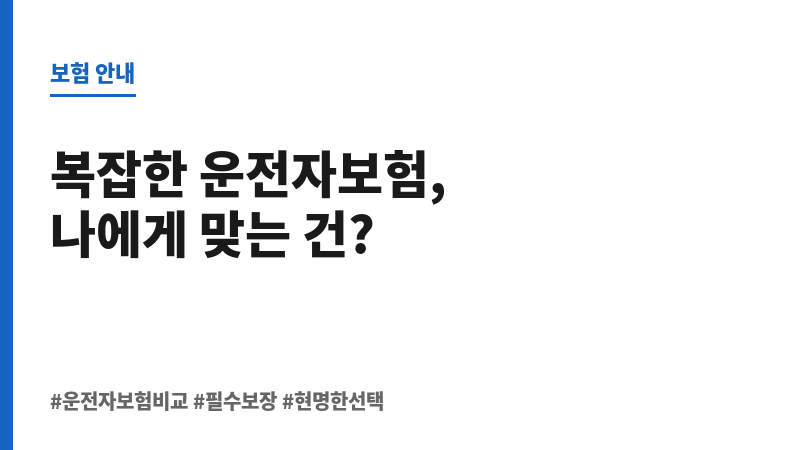 운전자보험비교 보조 이미지 운전자보험비교 보조 이미지