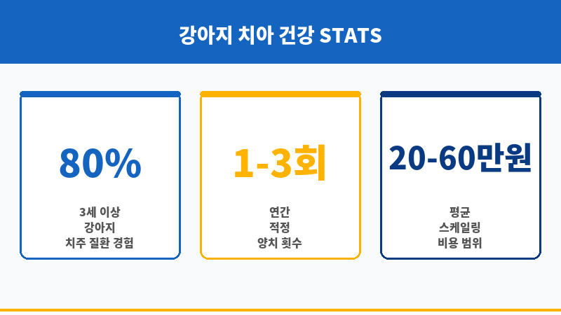 강아지스케일링비용 보조 이미지