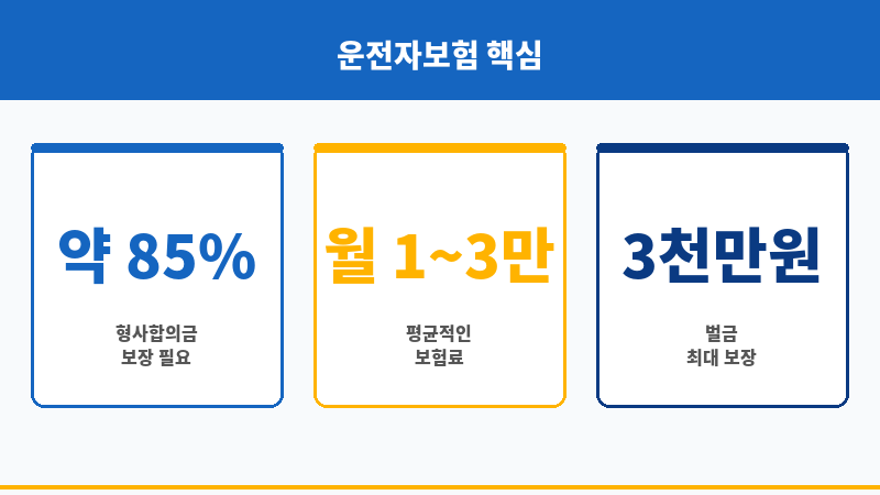 운전자보험비교 보조 이미지 운전자보험비교 보조 이미지