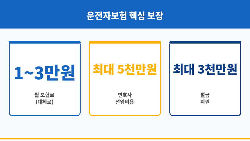 운전자종합보험 보조 이미지