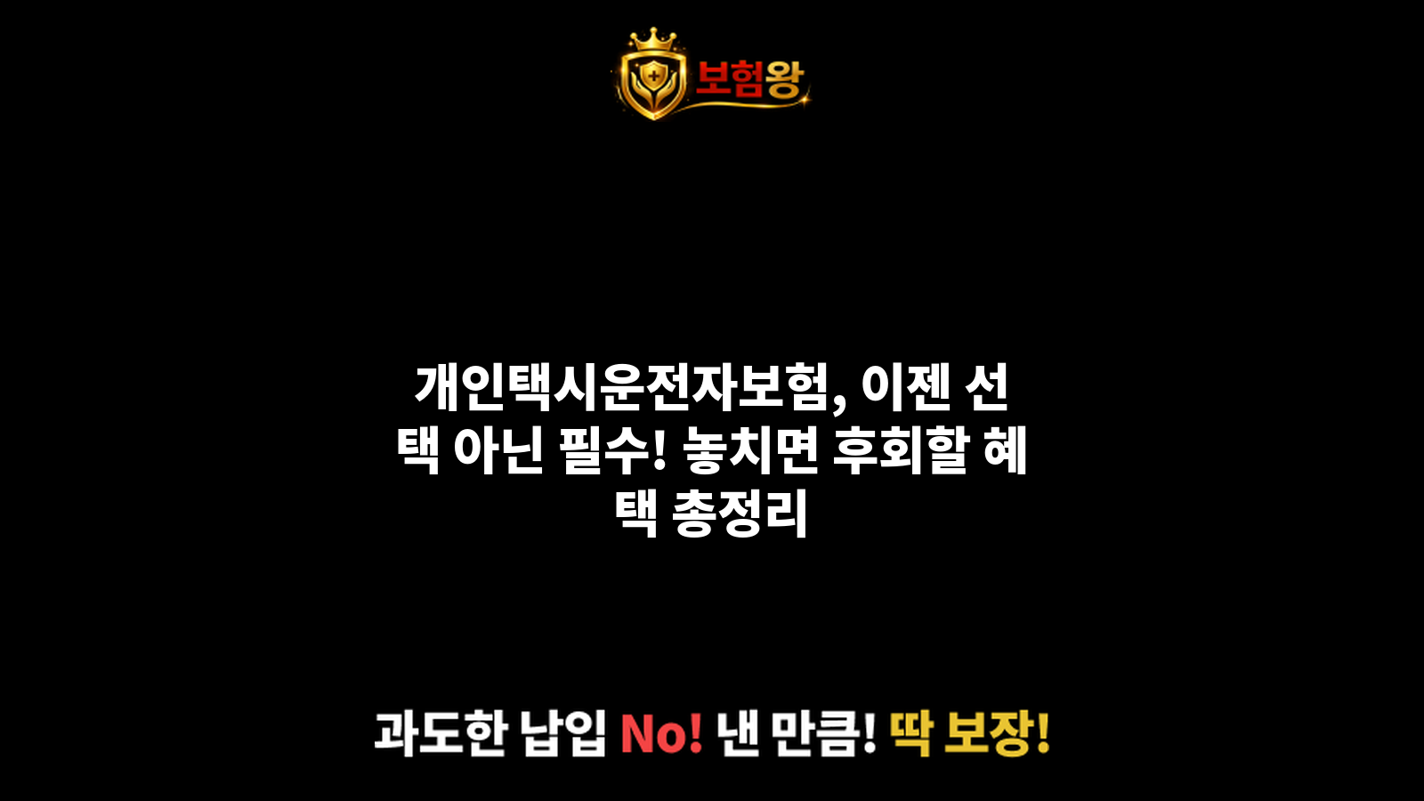 개인택시운전자보험